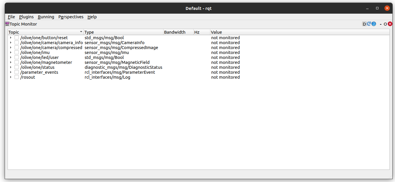 Olive_camera_rqt_topics!
